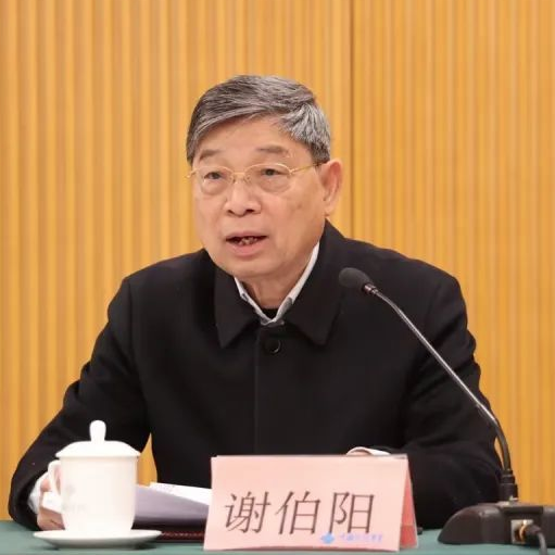 謝伯陽(yáng)一行赴金杯電工開(kāi)展“民企出海”專(zhuān)題調(diào)研